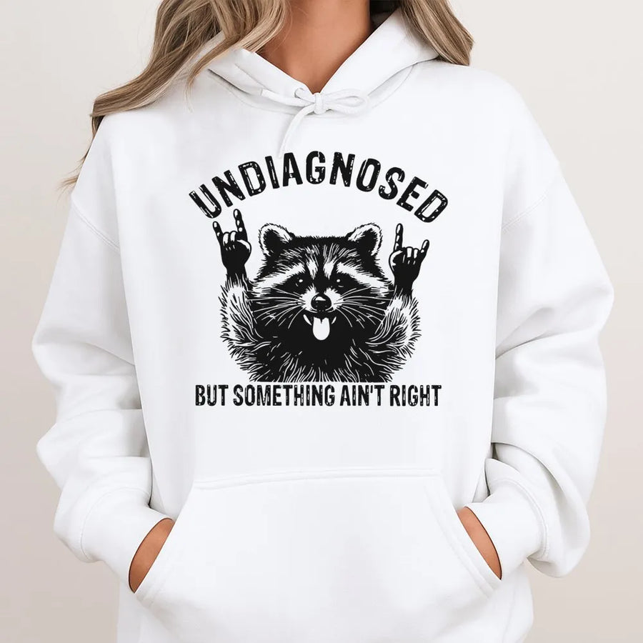 Undiagnosed But Something Ain't Right Hoodie | Funny Raccoon Graphic Pullover | Soft Cotton Blend Streetwear | Sarcastic Neurodivergent Gift