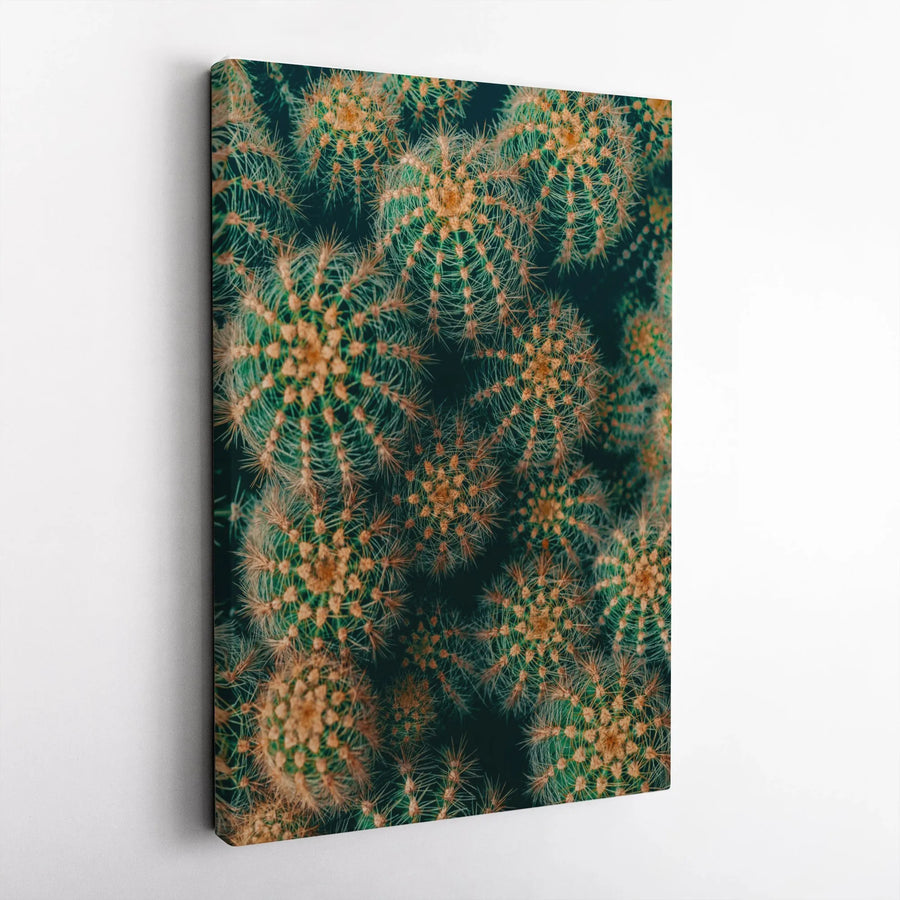 Cactus Canvas Wall Art | Modern Botanical Photography | Premium Gallery Wrap Canvas | Boho Desert Home Decor Gift