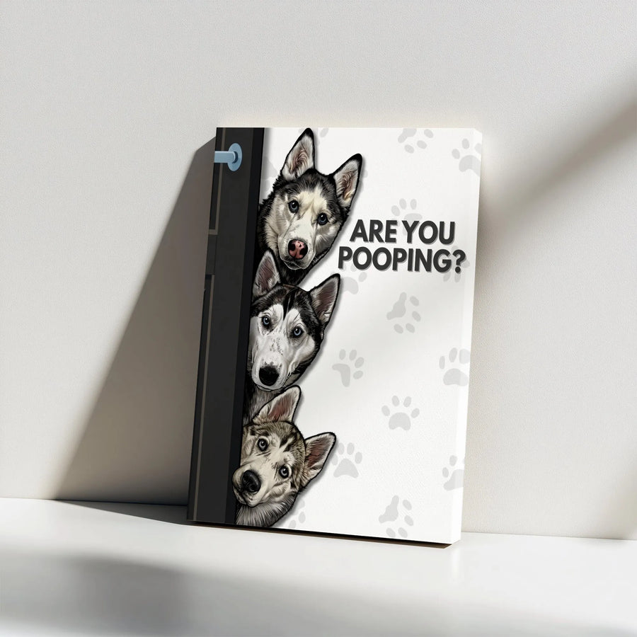 Siberian Husky Wall Art | Are You Pooping Funny Dog Sign | Premium 1.25 Inch Gallery Wrap Canvas | Gift For Dog Lovers & Bathroom Decor