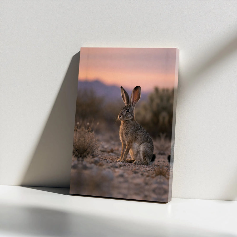 Desert Jackrabbit Canvas Print | Wildlife Photography Wall Art | Premium Gallery Wrapped Canvas | Southwestern Decor Gift for Nature Lovers