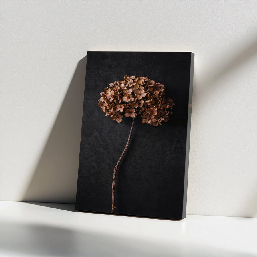 Dried Hydrangea Canvas Print | Minimalist Botanical Art on Dark Background | Premium Gallery Wrapped Canvas | Modern Home Decor Gift