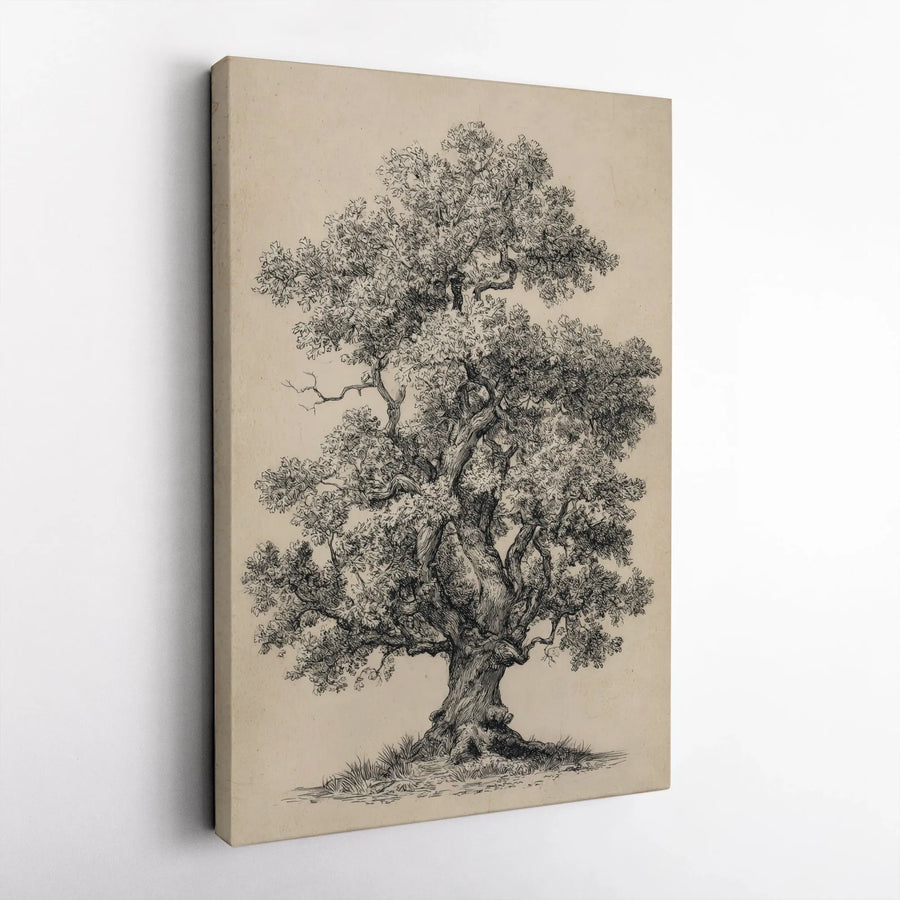 Vintage Oak Tree Canvas Print | Antique Botanical Pen and Ink Sketch | Premium Gallery Quality Wall Art | Gift for Nature Lovers and Home Decor