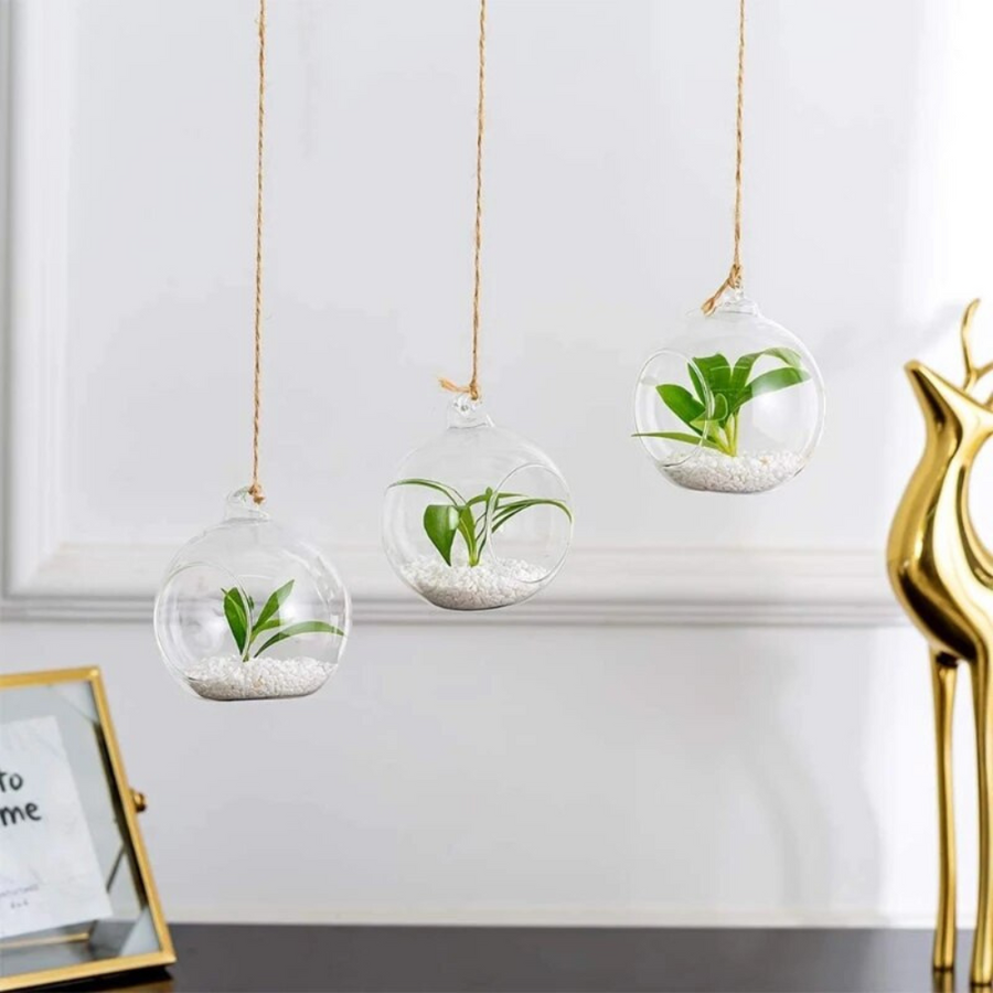 Round Terrarium Planter