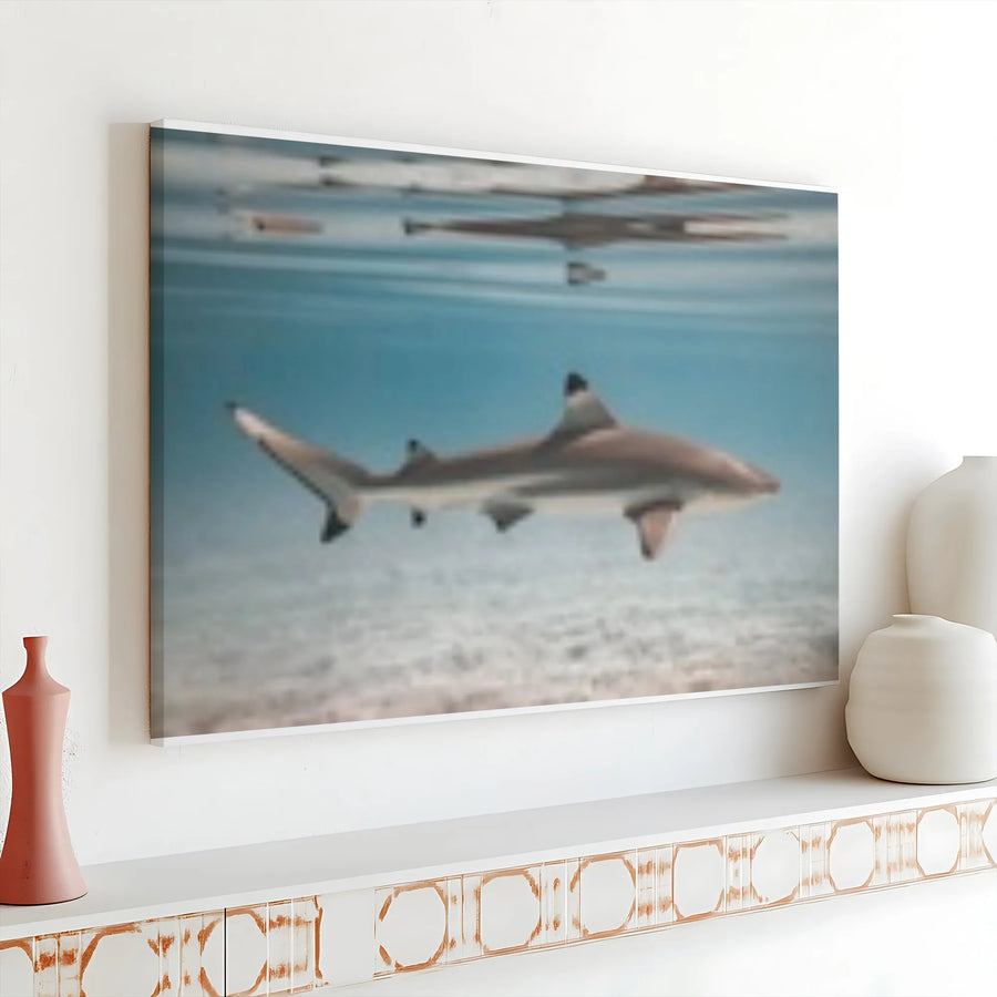 Blacktip Reef Shark Canvas Wall Art | Underwater Ocean Photography | Premium Fade-Resistant Print | Coastal Beach House Decor & Ocean Lover Gift