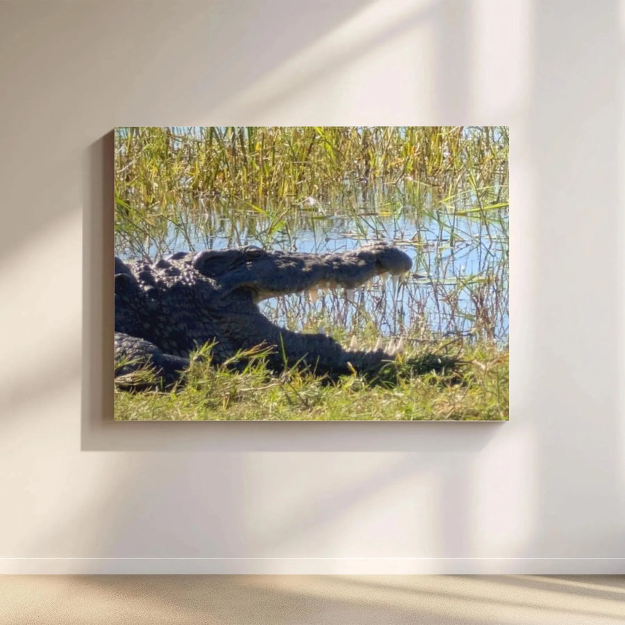 Alligator Canvas Wall Art | Swamp Wildlife Nature Photography | Premium 1.25-Inch Gallery Wrap | Home Office Decor Gift