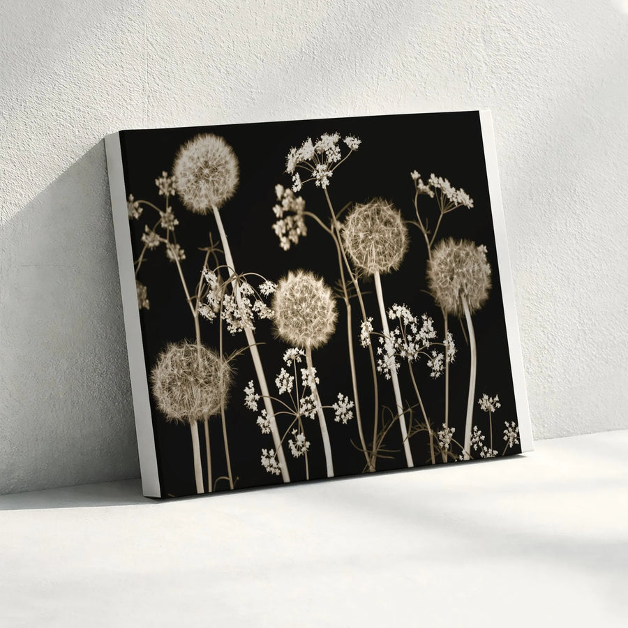 Dandelion Wall Art Canvas Print | Minimalist Botanical Photography | Premium Gallery Wrapped Canvas | Modern Farmhouse Home Decor Gift