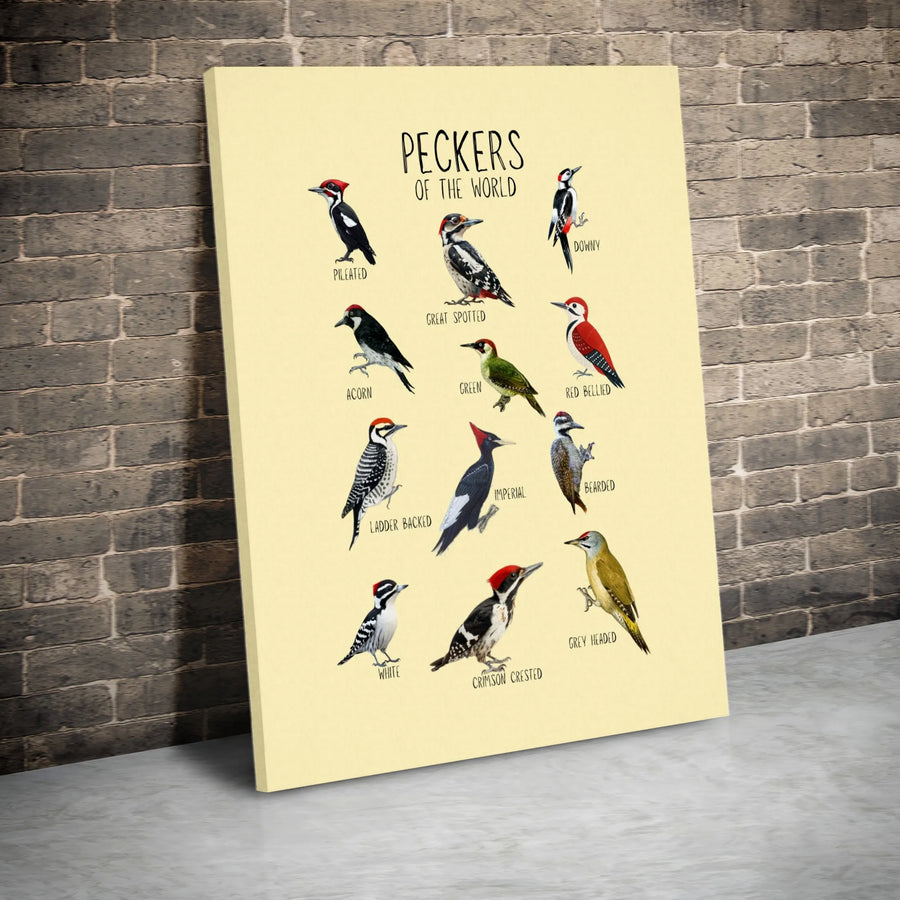 Woodpecker Identification Chart Canvas | Peckers Of The World Nature Print | 1.25" Gallery Wrap Premium Decor | Unique Gift For Bird Watchers