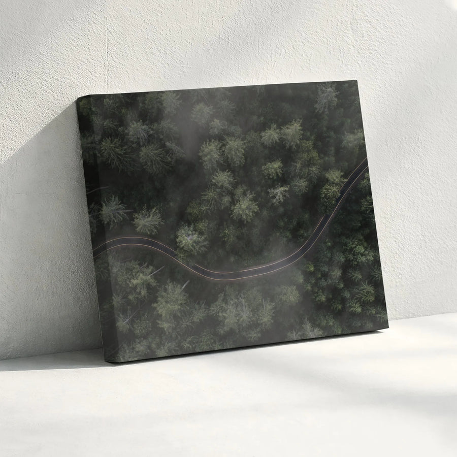 Aerial Forest Road Canvas Print | Moody Drone Photography Wall Art | Premium Gallery Wrap | Modern Nature Decor Gift for Living Room