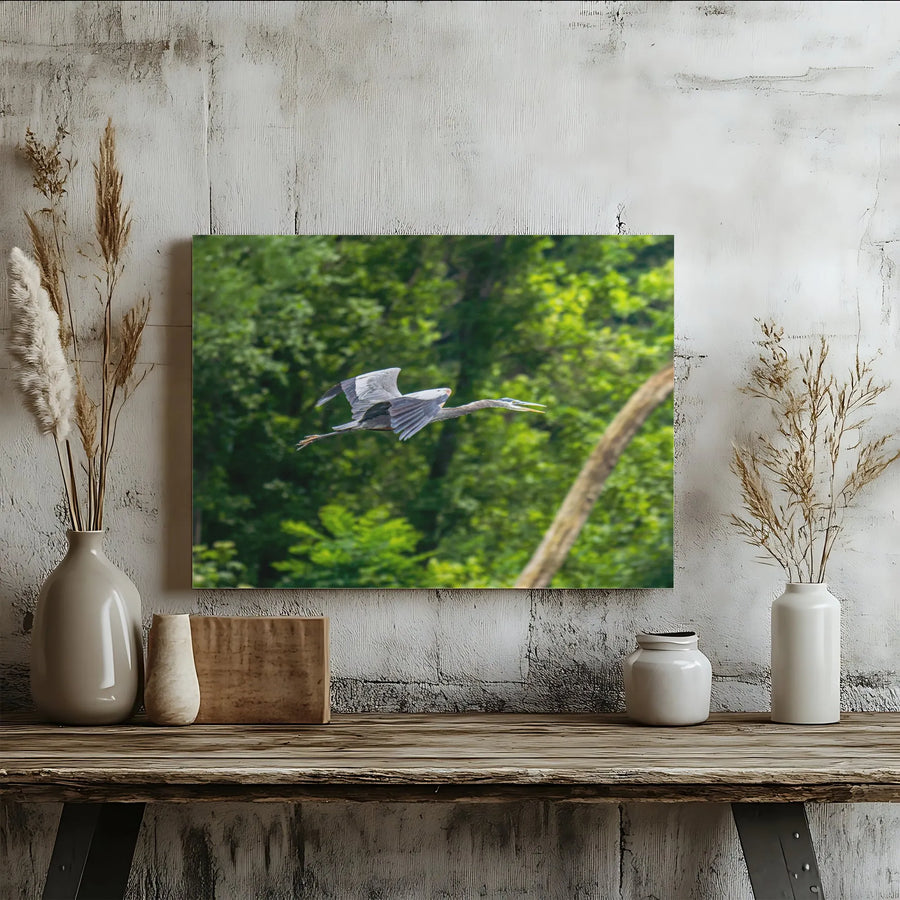 Great Blue Heron Canvas Wall Art | Flying Bird Nature Photography | Premium Gallery Wrap 1.25" Profile | Wildlife Decor For Living Room Home Gift