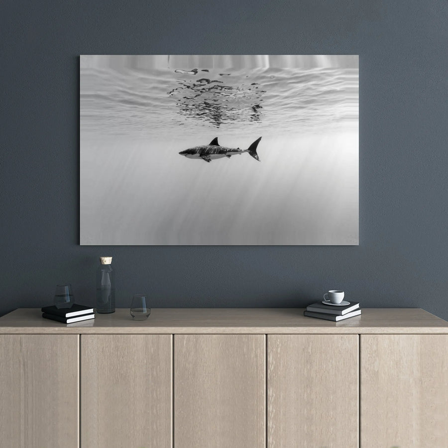 Great White Shark Canvas Art | Underwater Ocean Wildlife Photography | Premium Gallery Wrap Wall Decor | Masculine Office & Living Room Gift