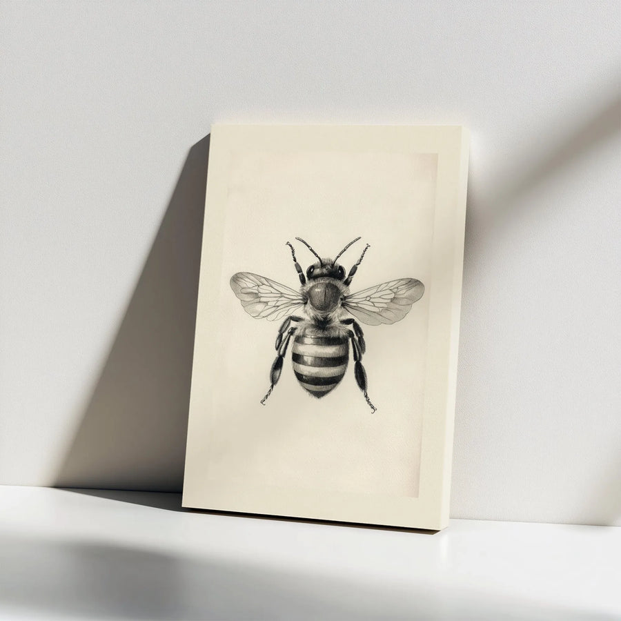 Honeybee Wall Art Canvas | Vintage Scientific Illustration Print | Premium Gallery Wrap Decor | Nature Lover Gift For Home Office