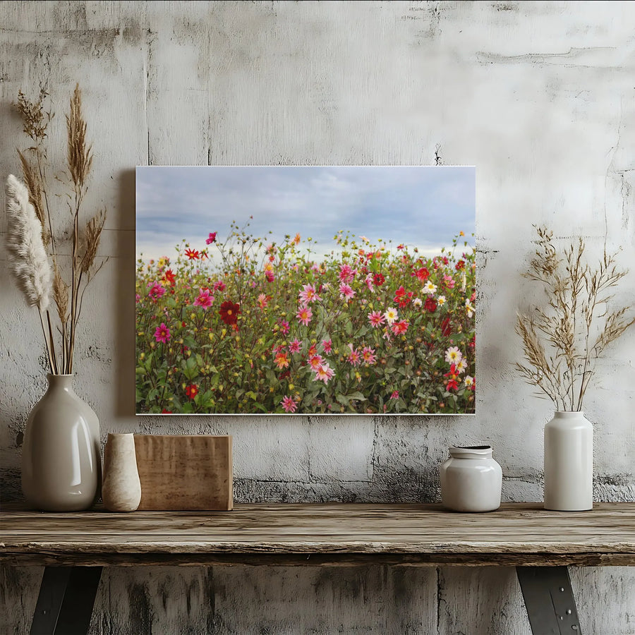 Dahlia Field Canvas Print | Colorful Wildflower Meadow Photography | Premium Gallery Wrapped Canvas | Botanical Wall Art for Living Room Decor Gift