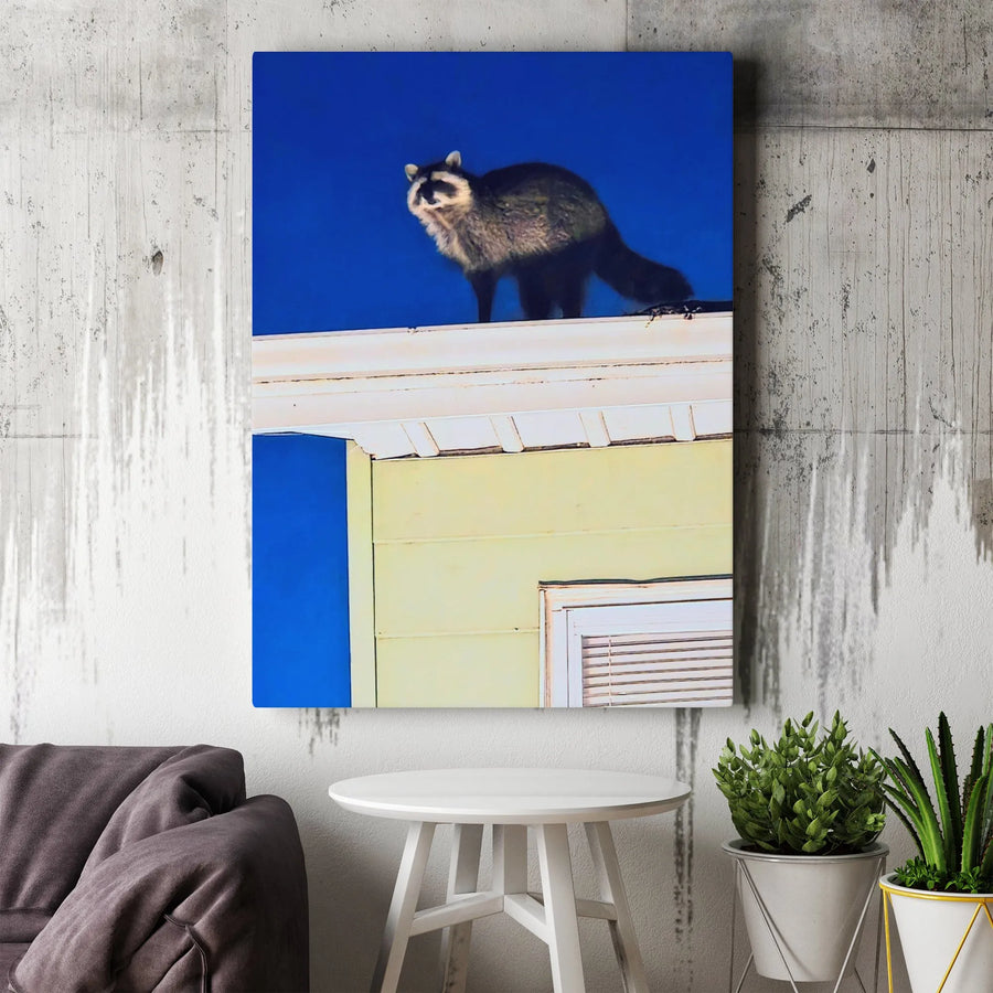 Raccoon on Roof Canvas Print | Urban Wildlife Photography Art | Premium Thick Gallery Wrap Canvas | Gift for Animal Lover & Modern Home Decor