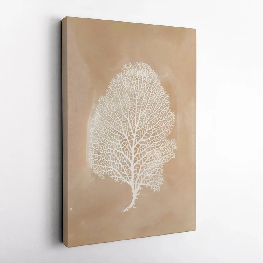 Sea Fan Coral Wall Art | Minimalist Beige and White Coastal Decor | Premium Gallery Wrap Canvas | Modern Beach House Living Room Decor