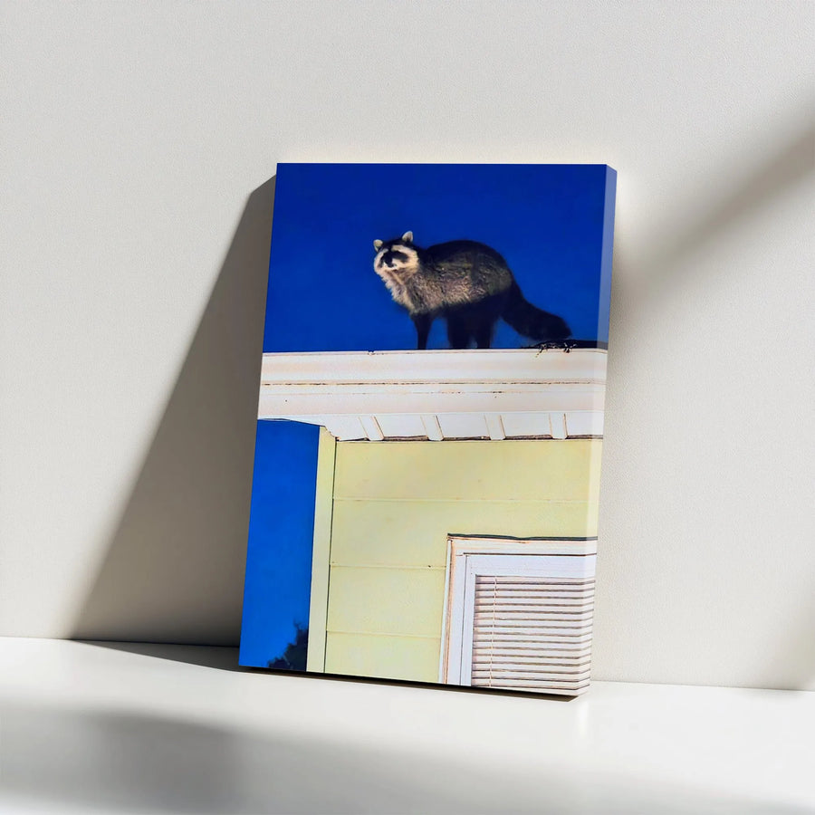 Raccoon on Roof Canvas Wall Art | Modern Wildlife Photography Print | Premium Gallery Wrapped Canvas | Quirky Animal Decor Gift for Living Room