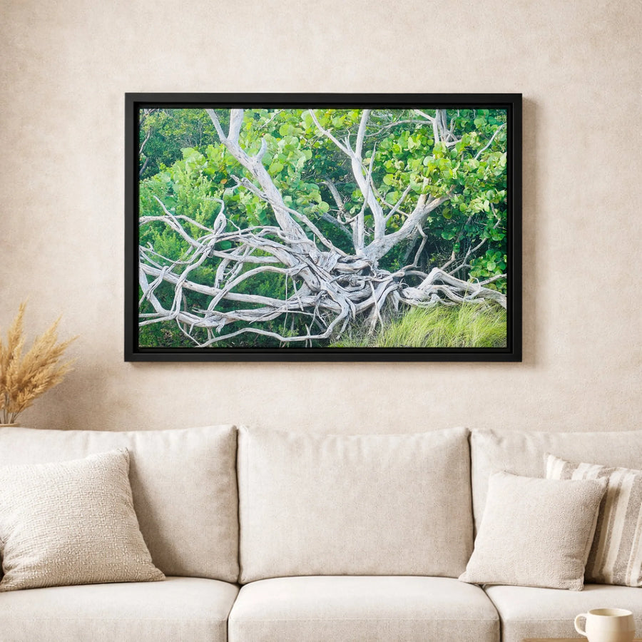Gnarled Tree Roots Canvas Wall Art | Botanical Nature Photography Print | Premium Gallery-Wrapped Gallery Quality | Minimalist Home Decor Gift