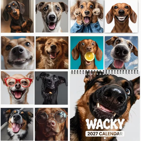 Wacky Dog 2027 Wall Calendar