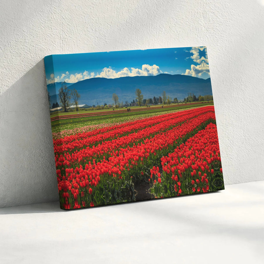 Red Tulip Field Wall Art | Mountain Landscape Canvas Print | 1.25 Inch Gallery Wrap | Floral Nature Decor for Living Room Gift