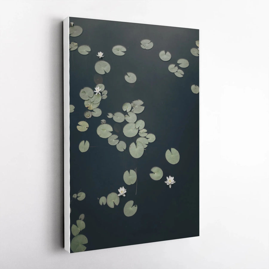 Water Lily Canvas Wall Art | Minimalist Lily Pad Photography | Premium Gallery Wrapped Canvas | Zen Botanical Home Decor Gift