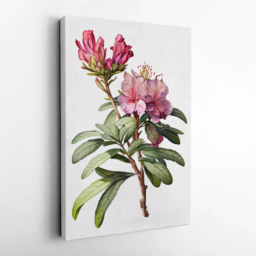 Pink Rhododendron Botanical Canvas Print | Vintage Floral Wall Art | Gallery Quality 1.25 Inch Wrap | Nature Lover Home Decor Gift