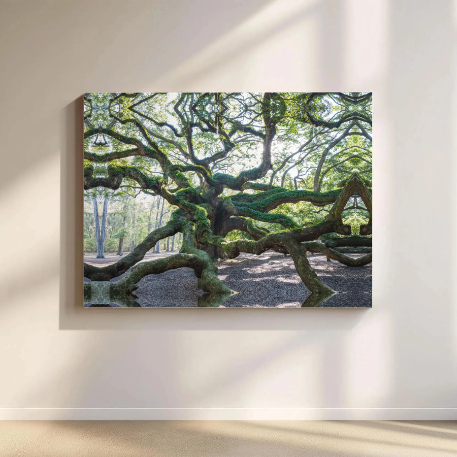 Angel Oak Tree Canvas Wall Art | Symmetrical Mossy Branch Kaleidoscope Print | Premium Gallery-Wrapped Decor | Nature Lover Home Office Gift