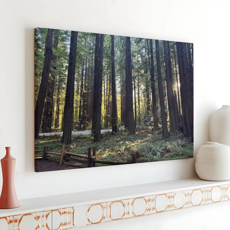 Redwood Forest Canvas Wall Art | Sunlit California Sequoia Landscape | Premium Gallery Wrap Print | Nature Decor Gift for Home Office