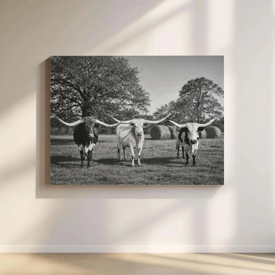 Texas Longhorn Wall Art | Black and White Cattle Farmhouse Canvas | Premium Gallery Wrapped Print | Modern Western Home Decor Gift