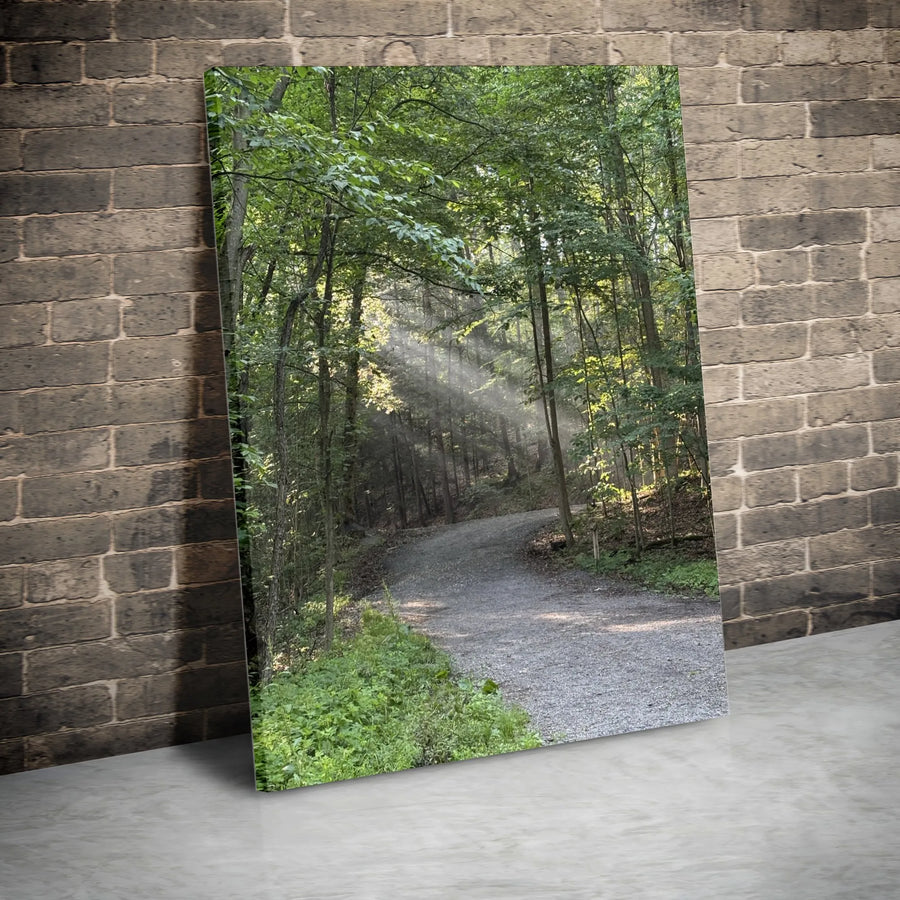 Forest Path Canvas Wall Art | Sunlight Through Trees Woodland Scenery | Premium Gallery Wrapped Canvas | Nature Lover Gift for Living Room & Office Decor