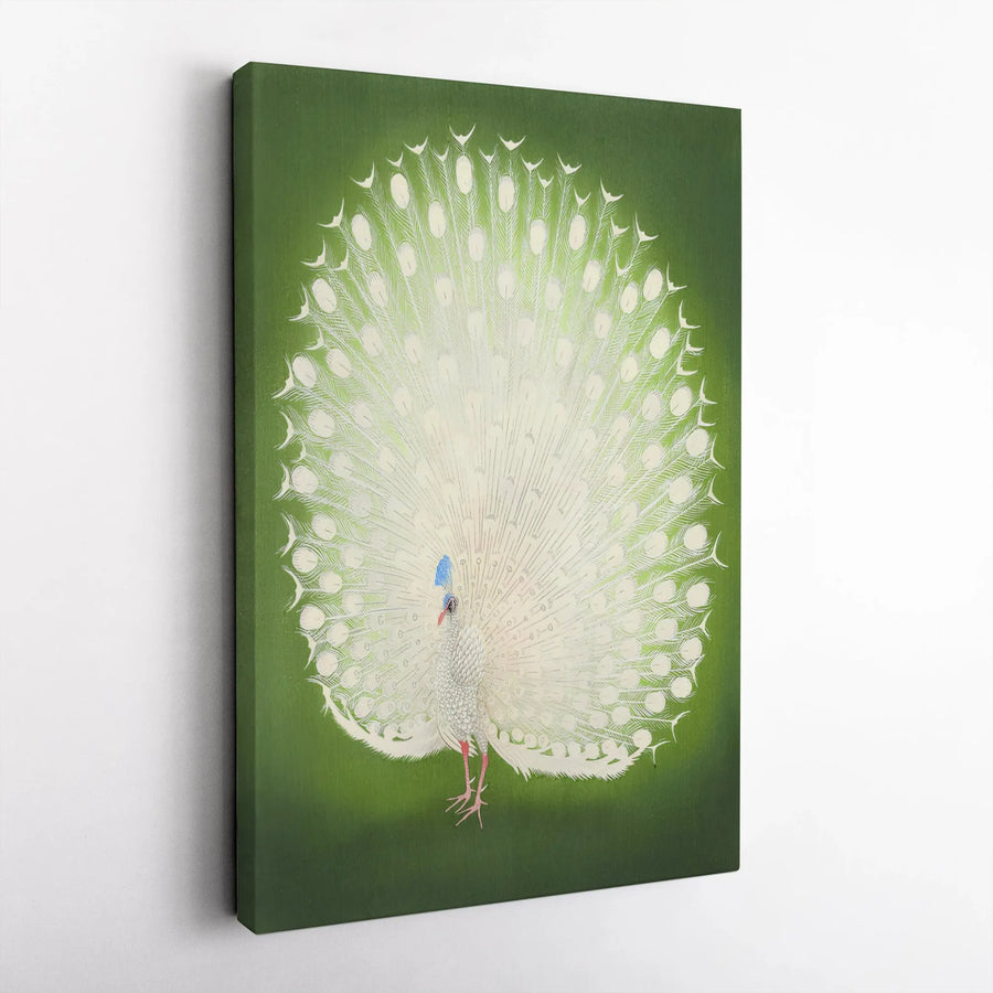 White Peacock Wall Art | Majestic Bird Illustration | Premium Gallery Wrapped Canvas | Elegant Home Decor Gift