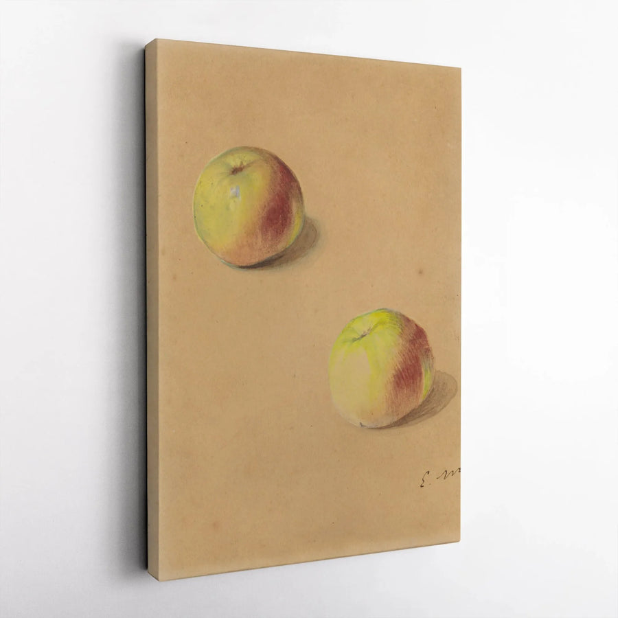 Still Life Apple Canvas Print | Vintage Fruit Study Illustration | Premium Gallery Wrapped Art | Farmhouse Kitchen Decor Gift