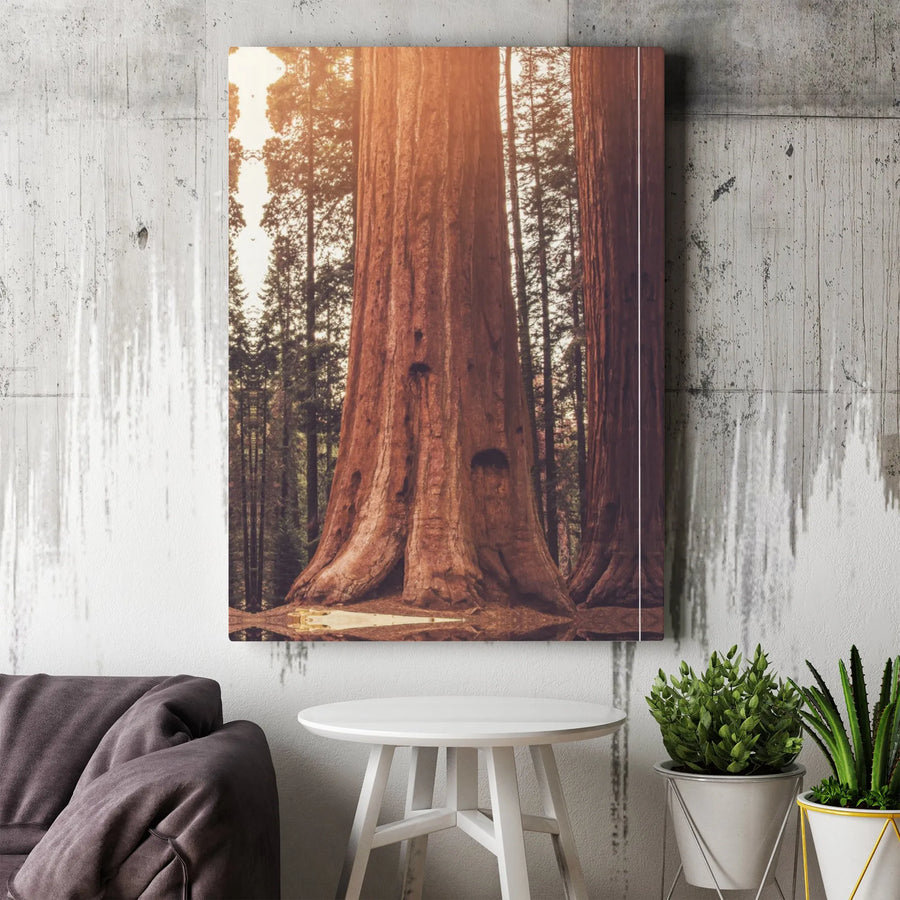 Giant Sequoia Redwood Forest Canvas Print | Sunlit Woodland Nature Wall Art | 1.25-inch Premium Gallery Wrap | Home Office Decor Gift