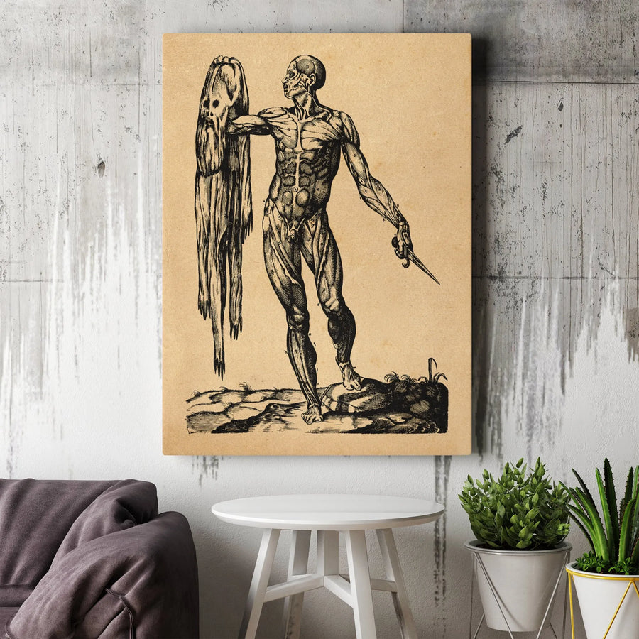 Vesalius Anatomical Illustration | Vintage Muscle Man Medical Art | Premium Canvas Print | Unique Science Gift for Doctors and Students