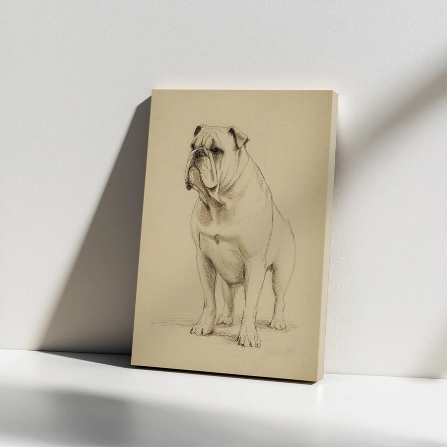 English Bulldog Wall Art | Vintage Pencil Sketch Dog Portrait | Premium Stretched Canvas Print | Gift for Dog Lovers and Pet Owners