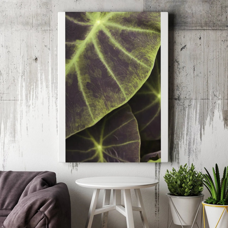 Elephant Ear Leaf Canvas Wall Art | Abstract Botanical Macro Print | Premium Gallery Wrapped Canvas | Modern Nature Inspired Home Decor Gift