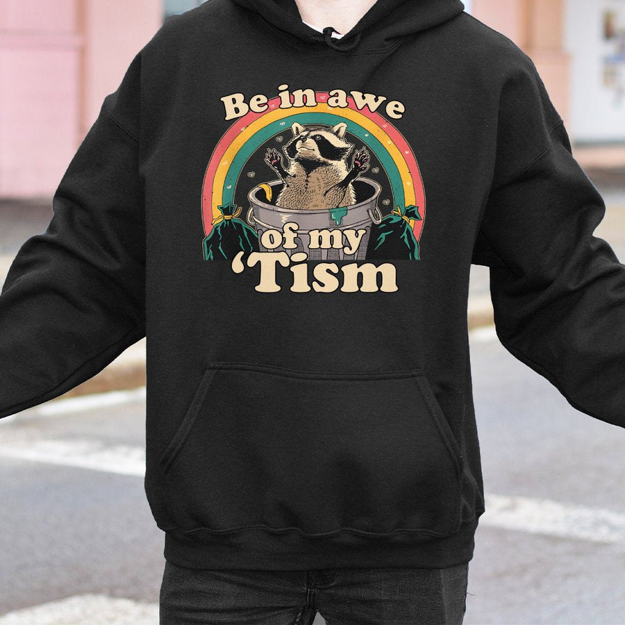 Be In Awe Of My Tism Hoodie | Retro Raccoon Trash Panda Graphic | Premium Cotton Blend Pullover | Neurodivergent Pride Gift For Adults
