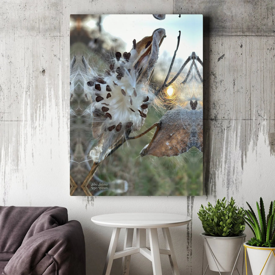 Milkweed Seed Pod Wall Art | Mirrored Sunset Botanical Canvas | Premium Gallery Wrap Print | Nature-Inspired Home Decor for Nature Lovers