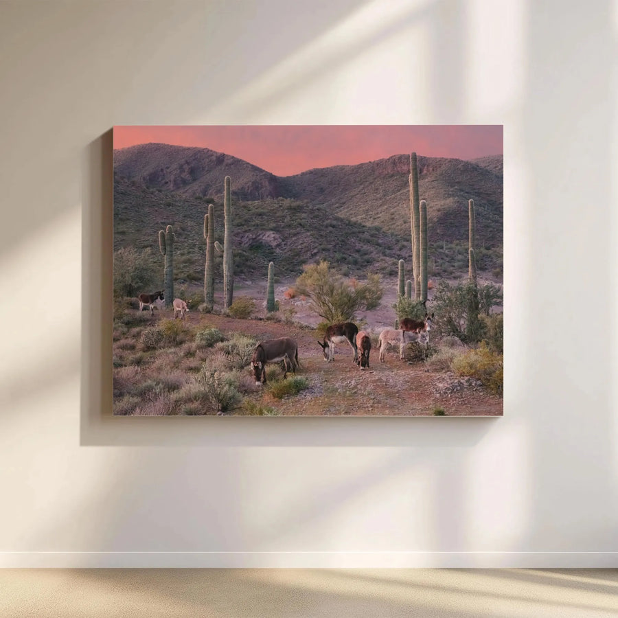 Arizona Desert Canvas Art | Wild Burros and Saguaro Cacti Landscape | Premium Fade-Resistant Print | Southwestern Home Decor Gift