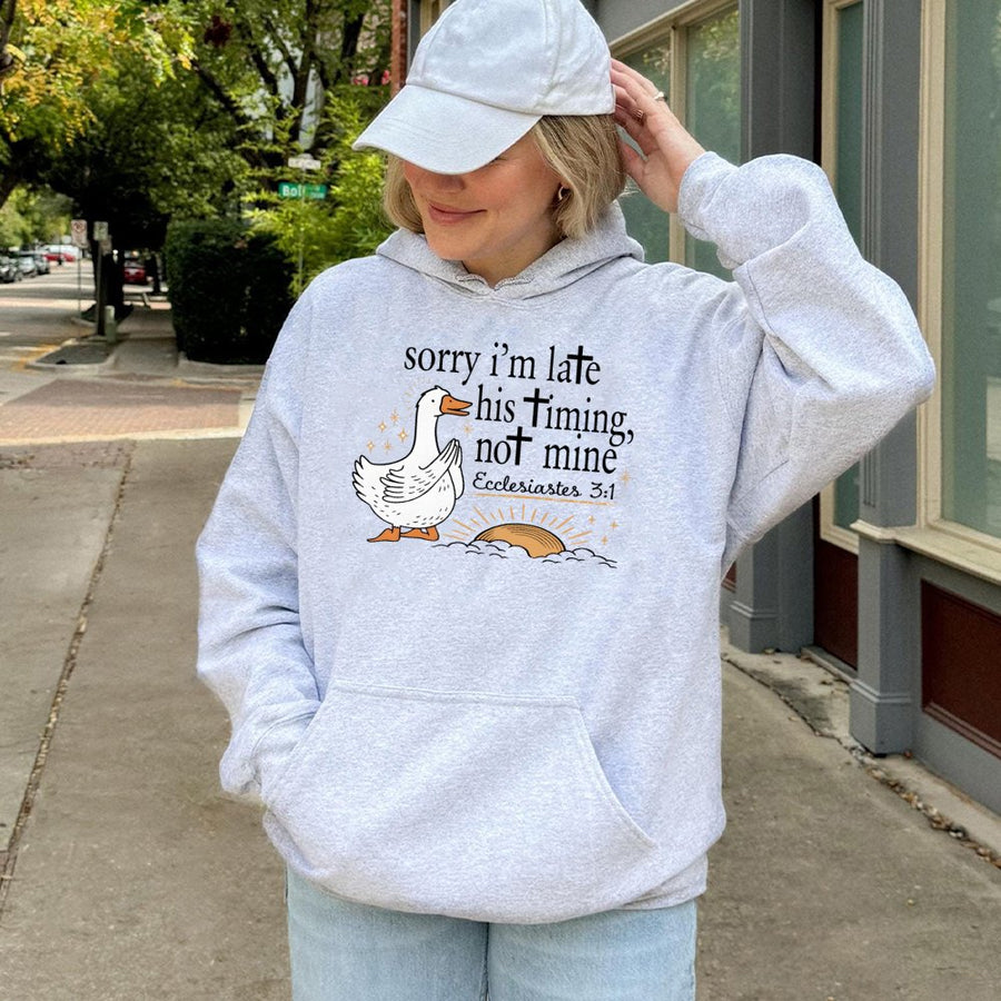 His Timing Not Mine Hoodie | Christian Goose Graphic Sweatshirt | Premium Cotton Blend | Funny Religious Gift For Women And Men