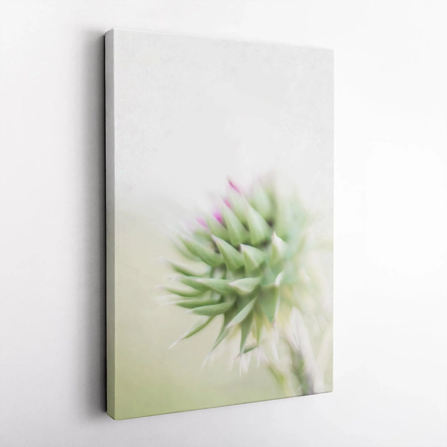 Abstract Thistle Canvas Wall Art | Minimalist Soft Focus Botanical Photography | Premium Thick Gallery Wrap | Modern Home & Office Decor Gift