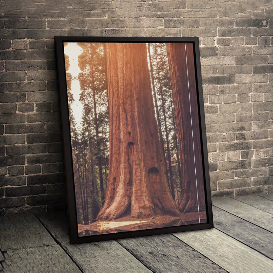 Giant Sequoia Redwood Forest Canvas Print | Sunlit Woodland Nature Wall Art | 1.25-inch Premium Gallery Wrap | Home Office Decor Gift