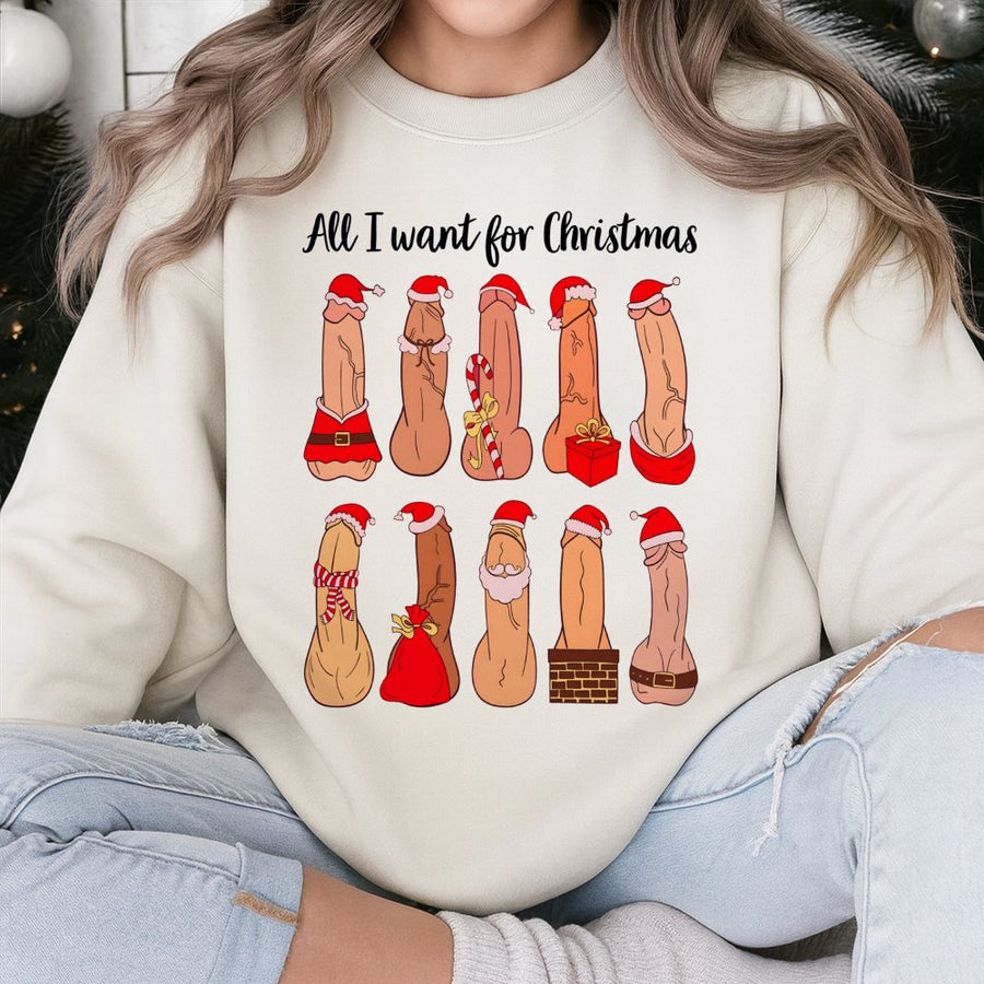 All I Want For Christmas Funny Adult Sweatshirt | Naughty Holiday Graphic | Premium Cotton Blend | Gift For Him or Her