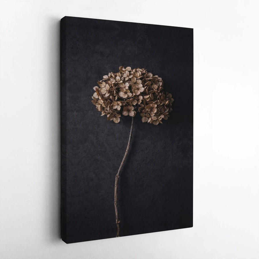 Dried Hydrangea Canvas Wall Art | Minimalist Botanical Flower Print | 1.25 Inch Gallery Wrap | Modern Farmhouse Home Decor