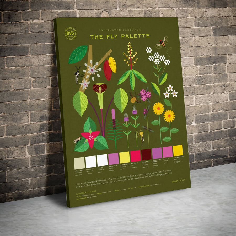 Pollinator Botanical Art Print | Fly Palette Infographic Poster | Gallery Quality 1.25" Thick Canvas | Nature Lover Science Decor Gift