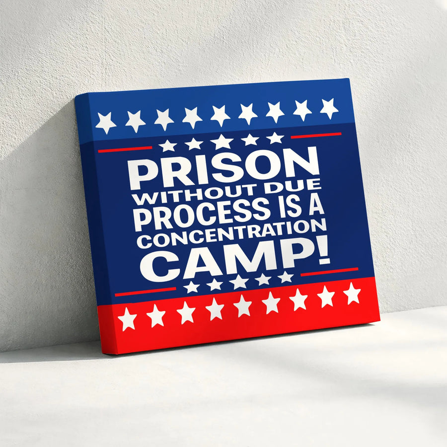 Due Process Protest Canvas | Political Statement Quote Art | Premium Gallery Wrapped Print | Civil Liberties Activist Gift Home Decor