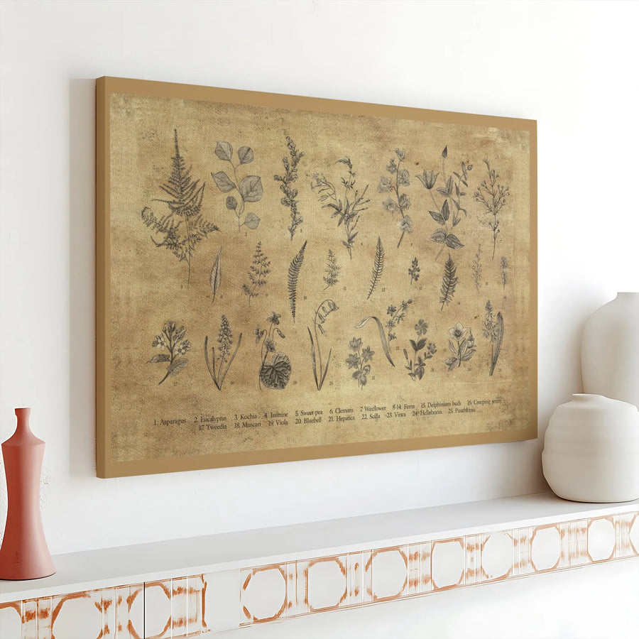 Vintage Botanical Canvas Wall Art | Antique Flower & Fern Illustration | Premium Gallery Wrapped Canvas | Cottagecore Home Decor Gift
