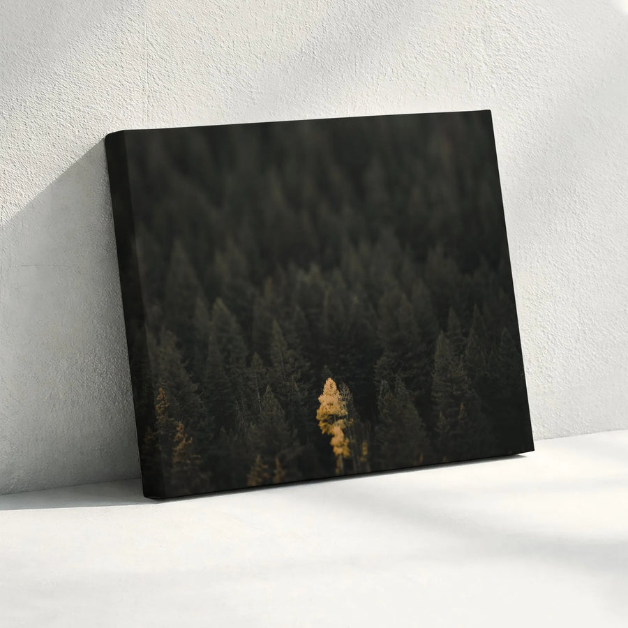 Lone Wolf Golden Tree Canvas Wall Art | Moody Forest Photography Print | Premium Gallery Wrap Canvas | Modern Office & Living Room Decor