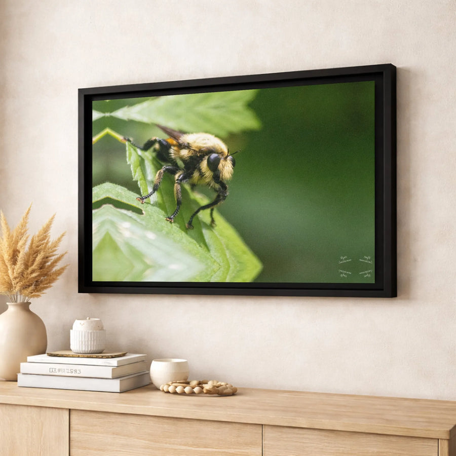 Bumblebee Macro Wall Art | Nature Photography Print | Premium 1.25" Gallery Canvas | Gift for Nature Lovers