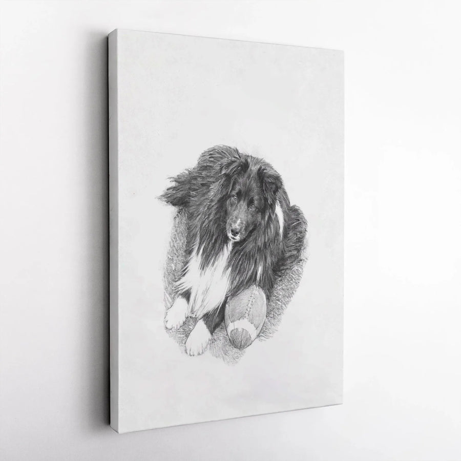 Shetland Sheepdog Wall Art | Pencil Sketch Dog Portrait with Football | Gallery Quality Canvas Print | Gift for Sheltie Lovers and Football Fans