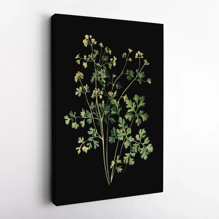 Vintage Botanical Wall Art | Dark Moody Herb Illustration Print | Premium Gallery Wrapped Canvas | Minimalist Nature Home Decor Gift