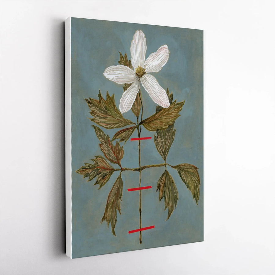 Wood Anemone Botanical Canvas Print | Vintage Herbarium Illustration | Premium Gallery Wrapped Canvas | Cottagecore Home Decor Gift for Gardener